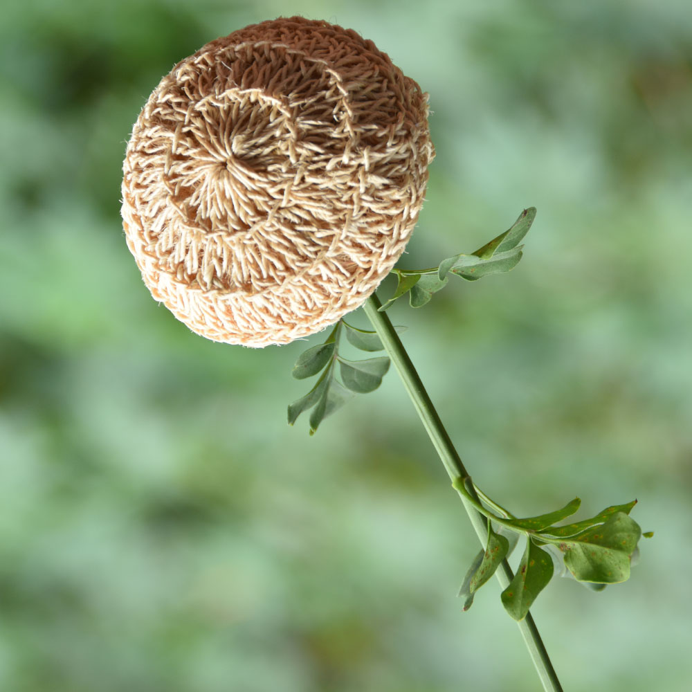 Sisal-Fibre-Body-Scrub1